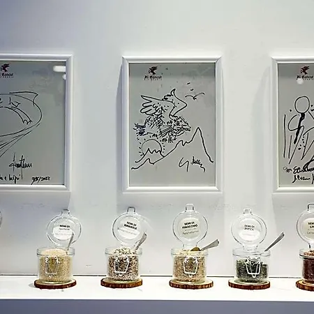 Art Principe 리그나노 사비아도로